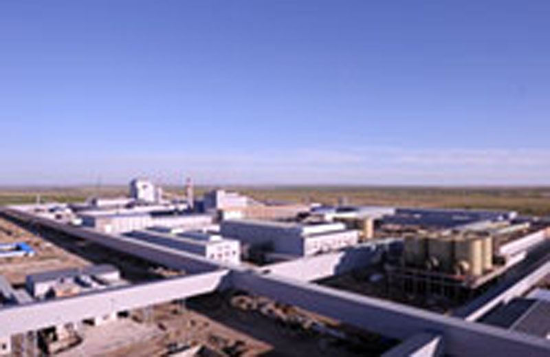 W020241121375655754976