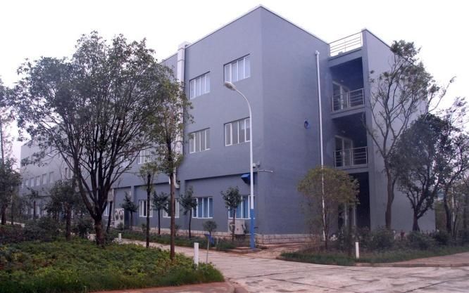 W020241121375676866777