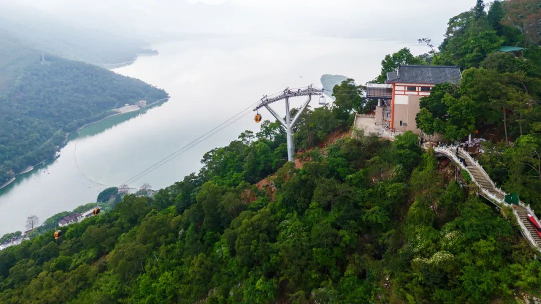 福鹿会·F6(中国)最新官方网站