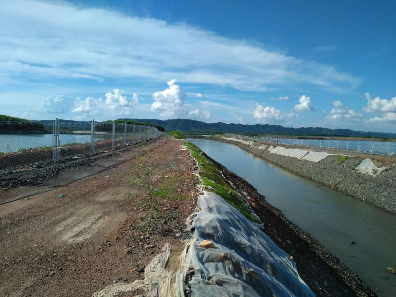 W020241119527187108248