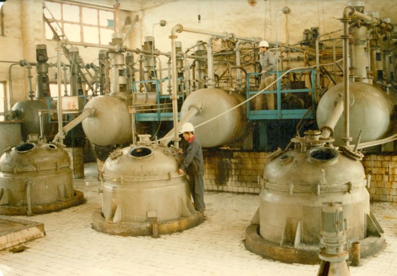 W020241119525549825956