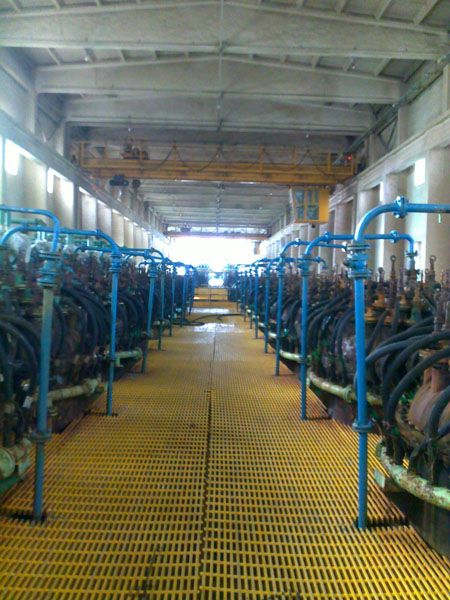 W020241119525555846328