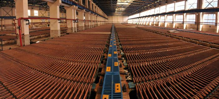 W020241119525560337783